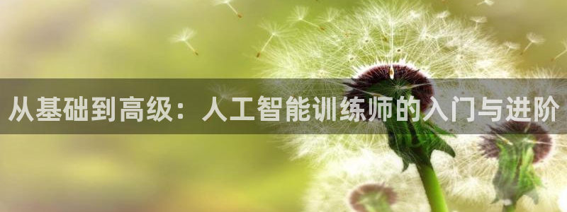 从基础到高级：人工智能训练师的入门与进阶