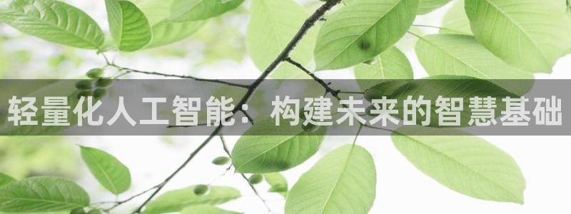 轻量化人工智能：构建未来的智慧基础