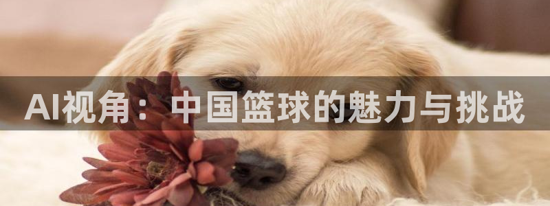 AI视角：中国篮球的魅力与挑战