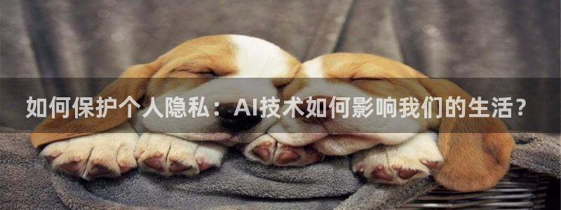 如何保护个人隐私：AI技术如何影响我们的生活？