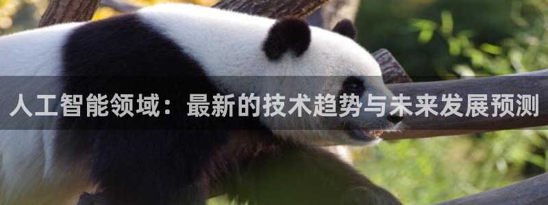 人工智能领域：最新的技术趋势与未来发展预测