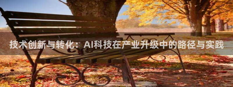 技术创新与转化：AI科技在产业升级中的路径与实践