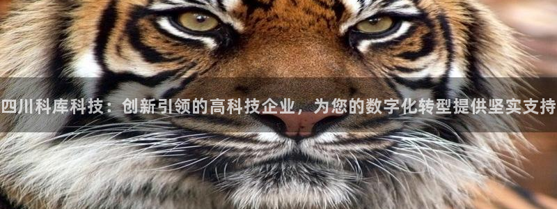 四川科库科技：创新引领的高科技企业，为您的数字化转型提供坚实支持