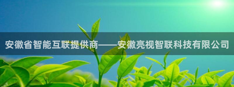 安徽省智能互联提供商——安徽亮视智联科技有限公司
