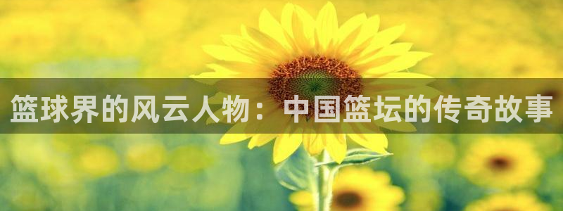 篮球界的风云人物：中国篮坛的传奇故事