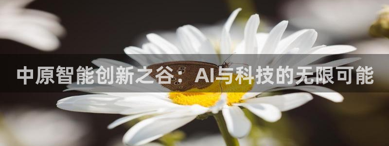 中原智能创新之谷：AI与科技的无限可能