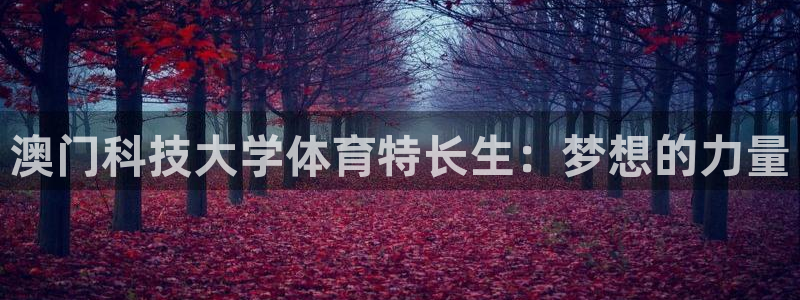 澳门科技大学体育特长生：梦想的力量