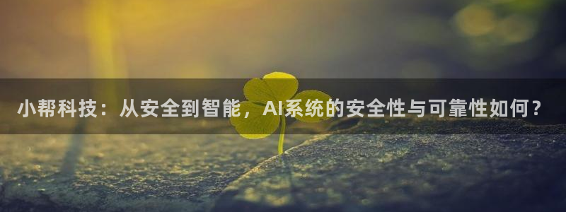 小帮科技：从安全到智能，AI系统的安全性与可靠性如何？