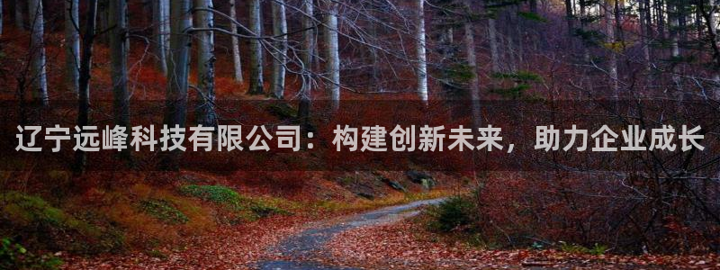 辽宁远峰科技有限公司：构建创新未来，助力企业成长