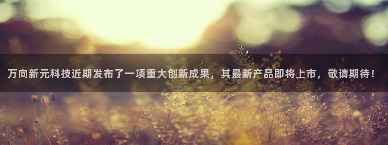 万向新元科技近期发布了一项重大创新成果，其最新产品即将上市，敬请期待！