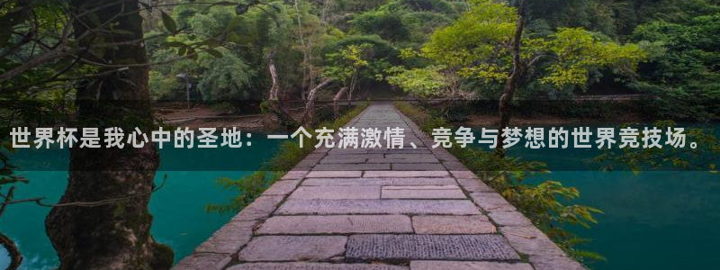 世界杯是我心中的圣地：一个充满激情、竞争与梦想的世界竞技场。
