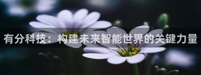 有分科技：构建未来智能世界的关键力量