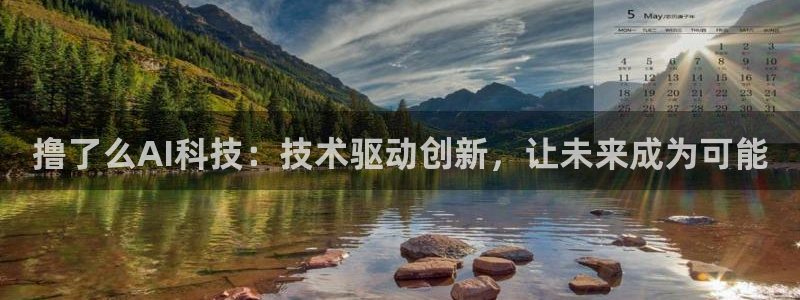 撸了么AI科技：技术驱动创新，让未来成为可能