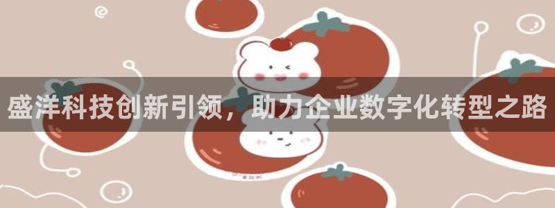 盛洋科技创新引领，助力企业数字化转型之路