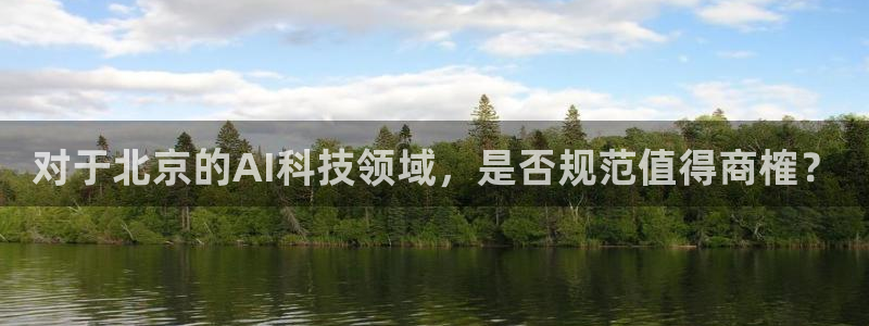 对于北京的AI科技领域，是否规范值得商榷？