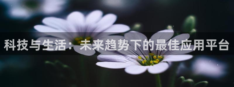 科技与生活：未来趋势下的最佳应用平台
