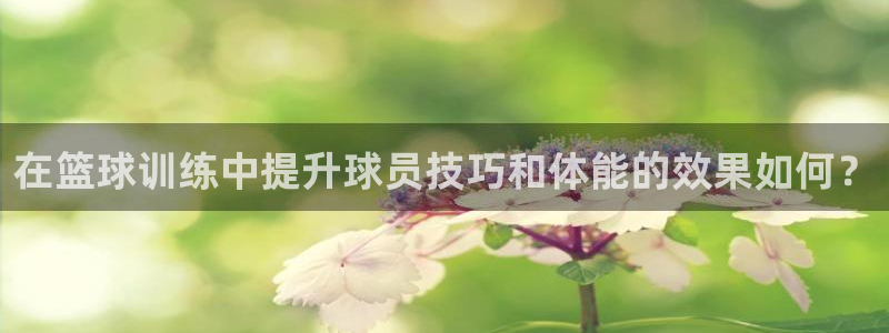 在篮球训练中提升球员技巧和体能的效果如何？