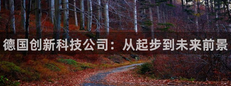 德国创新科技公司：从起步到未来前景