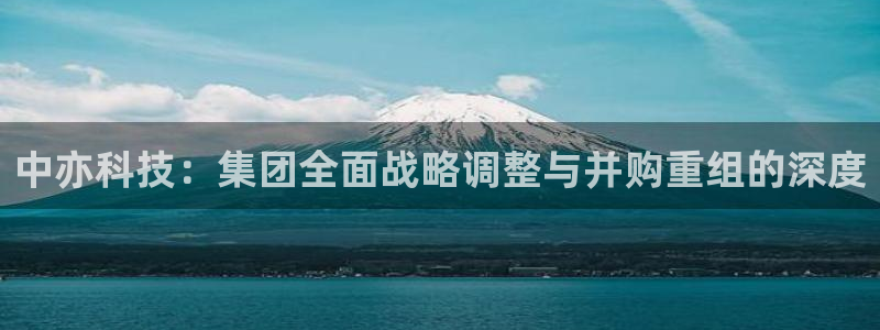 中亦科技：集团全面战略调整与并购重组的深度