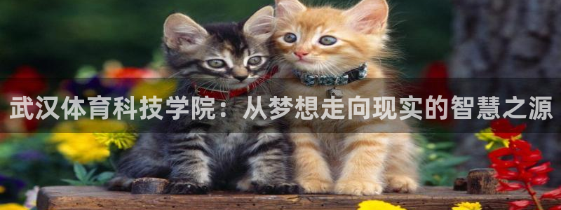 武汉体育科技学院：从梦想走向现实的智慧之源