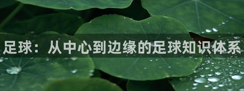 足球：从中心到边缘的足球知识体系