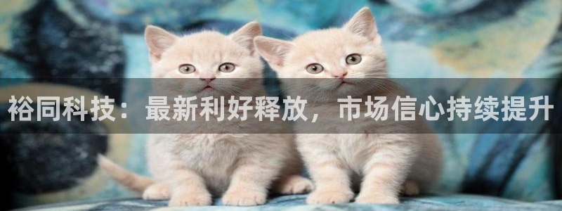 裕同科技：最新利好释放，市场信心持续提升