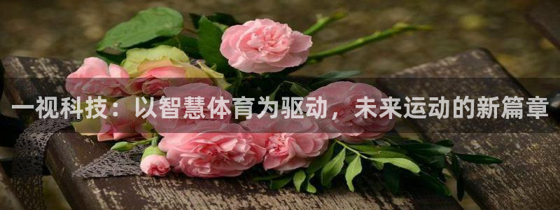 一视科技：以智慧体育为驱动，未来运动的新篇章
