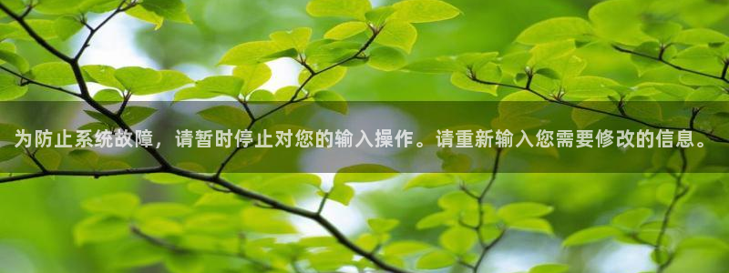 为防止系统故障，请暂时停止对您的输入操作。请重新输入您需要修改的信息。