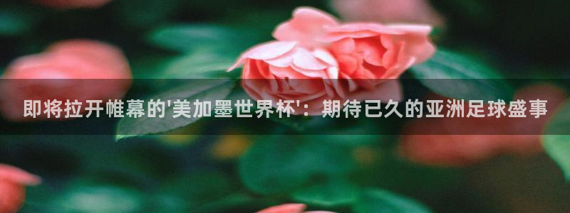 即将拉开帷幕的\'美加墨世界杯\'：期待已久的亚洲足球盛事