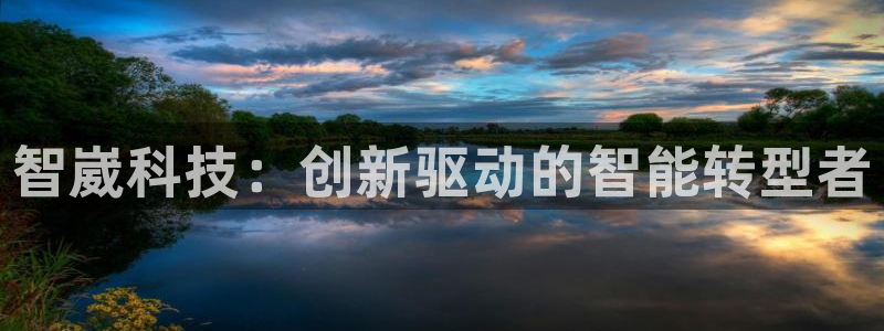 智崴科技：创新驱动的智能转型者