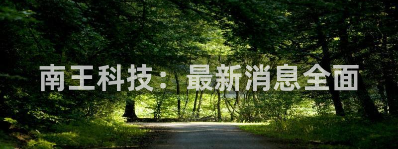 南王科技：最新消息全面