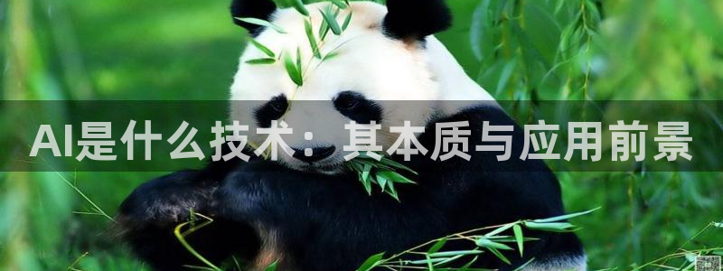 AI是什么技术：其本质与应用前景